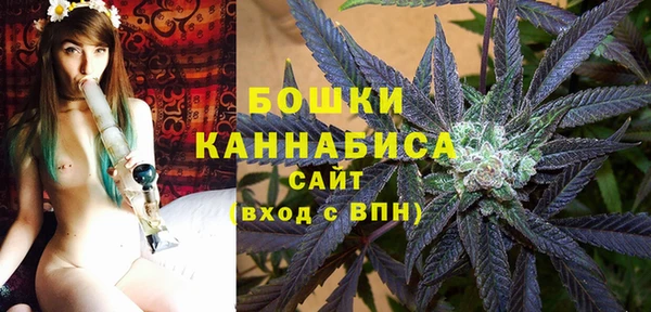 дурь Новозыбков