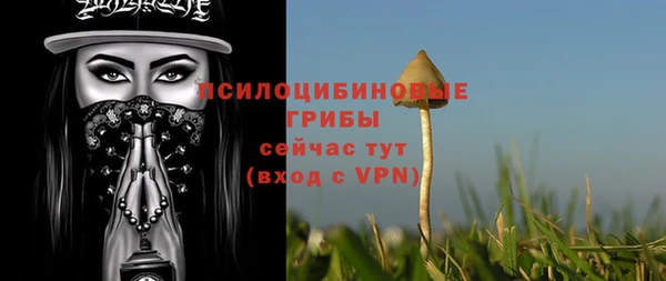 прущие крисы Новокубанск