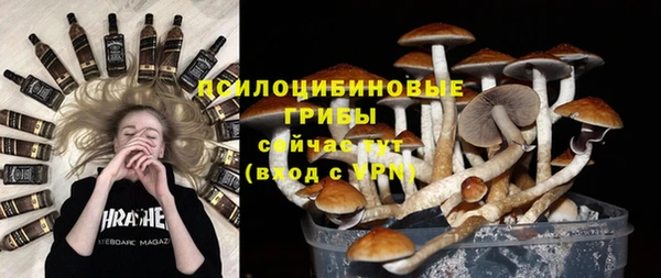 прущие крисы Новокубанск